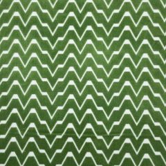 Stout Zagg Grass 3 Comfortable Living Collection Upholstery Fabric