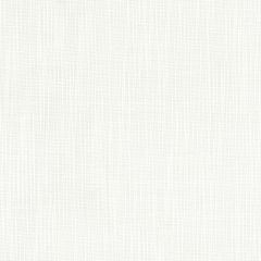 Stout Zelbio Chalk 1 Color My Window Collection Drapery Fabric