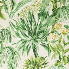 Lee Jofa Caluya Paper Palm 2020104-3034 Mindoro Wallpaper Collection Wall Covering