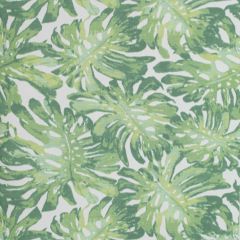 Lee Jofa Calapan Paper Green 2020106-230 Mindoro Wallpaper Collection Wall Covering