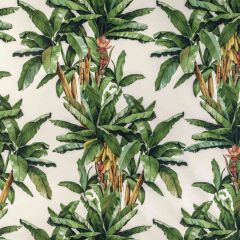 Kravet Couture Palmeira Verde 3 Casa Botanica Collection Multipurpose Fabric