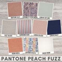 Sunbrella Sample Pack - Pantone Peach Fuzz