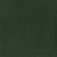 Silver State Parson Evergreen No Consequences Collection Upholstery Fabric