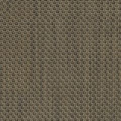 ABBEYSHEA Patio Cane Wicker 6099 Tungsten Indoor Upholstery Fabric