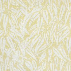 Lee Jofa Willow Yellow 3504-40 Blithfield Collection Wall Covering