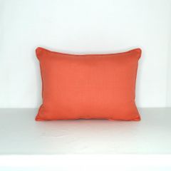 Indoor/Outdoor Patio Lane Hot Coral - 23x17 Throw Pillow with Welt