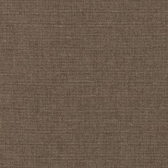 Sunbrella Play Mushroom 40616-0005 Elements Collection Upholstery Fabric