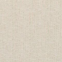 Sunbrella Poros Sage 390001-0004 Elements Collection Upholstery Fabric