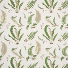 GP And J Baker Ferns Linen Stone/Green R1324-01 Perennia Collection Multipurpose Fabric