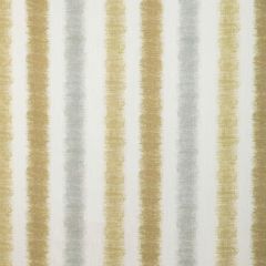 Kravet Basics Raipur Maize -411 Multipurpose Fabric