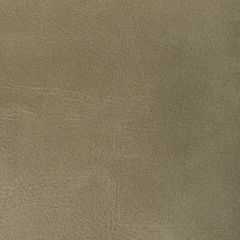 Kravet Contract Rambler Antler -106 Indoor Upholstery Fabric