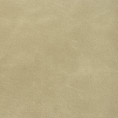 Kravet Contract Rambler Prairie -16 Indoor Upholstery Fabric