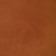 Kravet Contract Rambler Canyon -24 Indoor Upholstery Fabric
