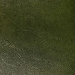 Kravet Contract Rambler Verde -3 Indoor Upholstery Fabric
