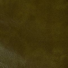 Kravet Contract Rambler Olive Branch -303 Indoor Upholstery Fabric
