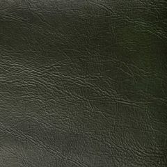 Kravet Contract Rambler Loden -33 Indoor Upholstery Fabric