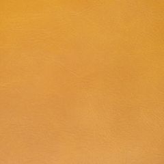 Kravet Contract Rambler Saffron -4 Indoor Upholstery Fabric