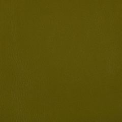 Kravet Contract Rand Wasabi 23 Indoor Upholstery Fabric