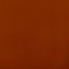 Kravet Contract Rand Adobe 24 Indoor Upholstery Fabric