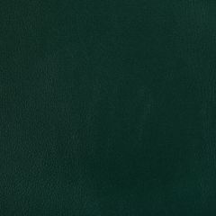 Kravet Contract Rand Forest 3 Indoor Upholstery Fabric