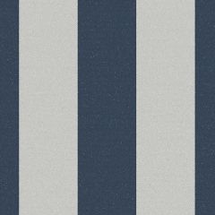 Silver State Outdura Regency Navy Clean Living Collection Upholstery Fabric