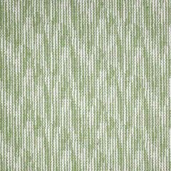 Sunbrella by Alaxi Restraint Meadow Atmospherics Collection Upholstery Fabric