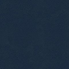 Kravet Rigel Blue 5 Indoor Upholstery Fabric