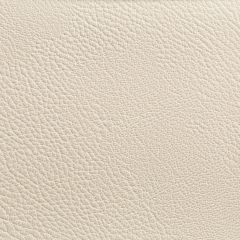 Kravet Contract Rustler Gypsum 111 Foundations / Value Collection Indoor Upholstery Fabric