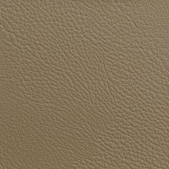 Kravet Contract Rustler Cashew 16 Foundations / Value Collection Indoor Upholstery Fabric