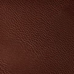 Kravet Contract Rustler Port 9 Foundations / Value Collection Indoor Upholstery Fabric