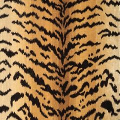 Scalamandre Tigre - Silk Ivory, Gold and Black SC 000126167MM Indoor Upholstery Fabric