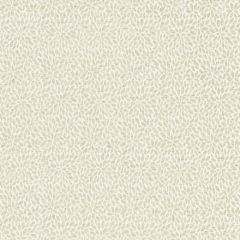 Scalamandre Risa Weave Birch SC 000127239 Pacifica Collection Indoor Upholstery Fabric