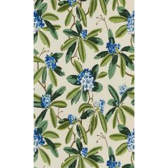 Scalamandre Rhododendron - Outdoor Blues and Greens On Ivory SC 000216454 Contract Upholstery Fabric