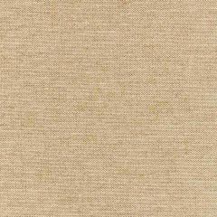 Scalamandre Luna Weave Champagne SC 000227147 Modern Luxury Collection Indoor Upholstery Fabric