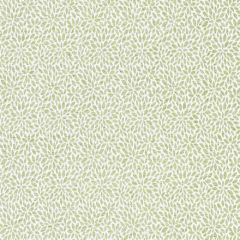Scalamandre Risa Weave Fern SC 000227239 Pacifica Collection Indoor Upholstery Fabric