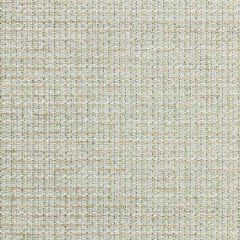 Scalamandre Highland Chenille Seaglass SC 000227257 Sahara Collection Indoor Upholstery Fabric
