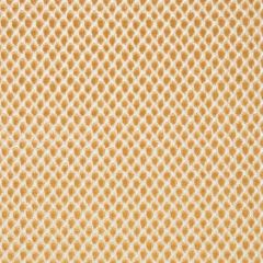 Scalamandre Etosha Velvet Palomino SC 000327022 Modern Nature Collection Indoor Upholstery Fabric