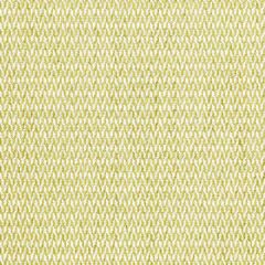 Scalamandre Cortona Chenille Fern SC 000327104 Merchante Collection Indoor Upholstery Fabric
