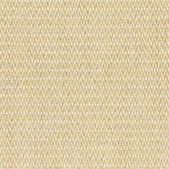 Scalamandre Cortona Chenille Cafe SC 000427104 Merchante Collection Indoor Upholstery Fabric