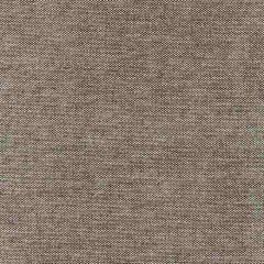 Scalamandre Luna Weave Pewter SC 000427147 Modern Luxury Collection Indoor Upholstery Fabric