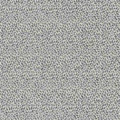 Scalamandre Risa Weave Charcoal SC 000427239 Pacifica Collection Indoor Upholstery Fabric