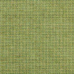 Scalamandre Highland Chenille Grass SC 000427257 Sahara Collection Indoor Upholstery Fabric