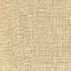 Boris Kroll Hampton Weave Sand SC 0004K65106 Texture Palette Collection Contract Indoor Upholstery Fabric