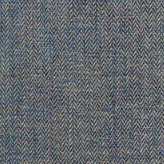 Scalamandre Oxford Herringbone Weave Denim SC 001627006 Oriana Collection Indoor Upholstery Fabric