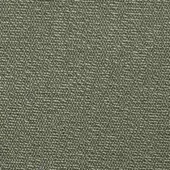 Scalamandre Boss Boucle Green Tea SC 002027247 Trio - Performance Collection Contract Indoor Upholstery Fabric