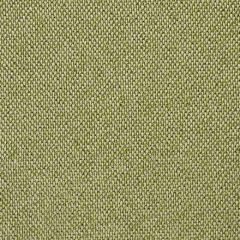 Scalamandre City Tweed Green Apple SC 002227249 Trio - Performance Collection Contract Indoor Upholstery Fabric