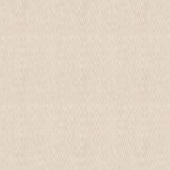 Tempotest Home Latte 15/52 124-inch Sheer Collection Drapery Fabric