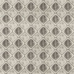 Kravet Design Sherlee Granite 81 Barry Lantz Canvas To Cloth Collection Multipurpose Fabric