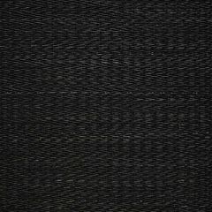 Old World Weavers Rottaler Horsehair Black SK 00010421 Horsehair Chapters Collection Indoor Upholstery Fabric