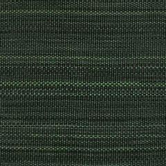 Old World Weavers Paso Horsehair Emerald SK 00010504 Horsehair Chapters Collection Indoor Upholstery Fabric
